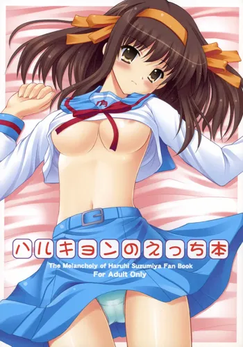 Harukyon no Ecchi Hon, English