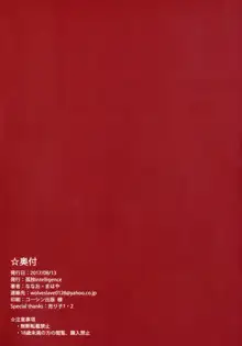 THE BOOK OF RIKO, 中文