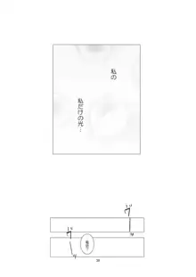 負の事情, 日本語