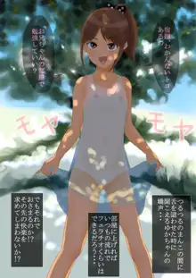 ゆかちゃんと過ごすちょっぴりエッチな夏休み, 日本語