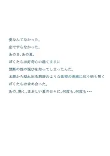 ゆかちゃんと過ごすちょっぴりエッチな夏休み, 日本語