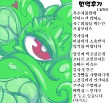 Shuma Lover | 슈마 러버, 한국어