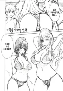 Kanmusu to Issho -Takao Hen- | 칸무스와 함께 -타카오편-, 한국어