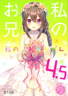 Watashi no, Onii-chan 4.5 Bangaihen, 中文