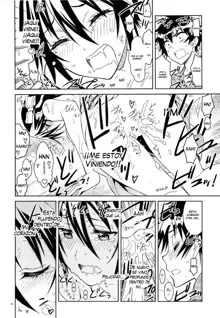 Nisenisekoi 6, Español