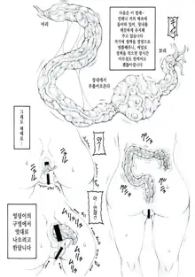 Japunika Inchuuchou | 자푸니카 음충장, 한국어