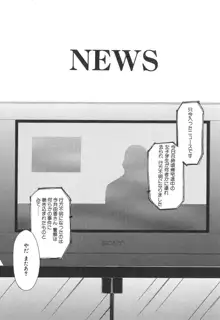 NEWS/source, 日本語