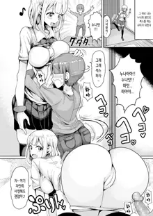 Boku no Onee-chan ni wa Teisou Gainen ga Nai | 내 누나에겐 정조관념이 없다, 한국어