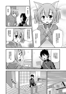 Silica Route Offline Phantom Parade After, 中文