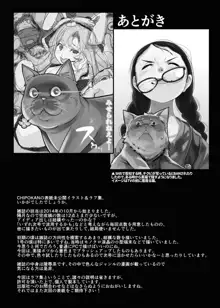 COVER IDEA 雑誌表紙未公開ラフ＆イラスト集＋, 日本語