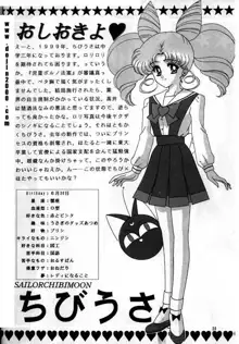 Bishoujo S Ichi - Sailor Chibimoon, English