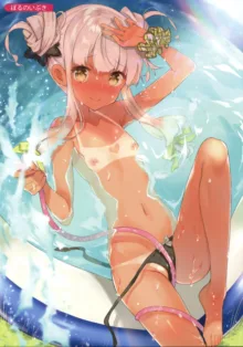 Melonbooks C92 Collection of Pictures, 日本語