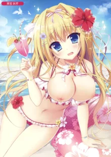 Melonbooks C92 Collection of Pictures, 日本語