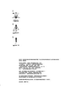 Renkinjutsushi ni Oukan o 3, 中文