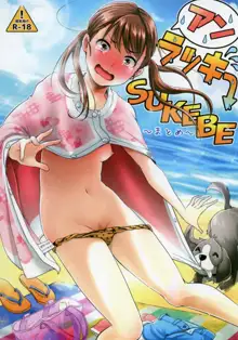 Unlucky SUKEBE ~Matome~, 中文