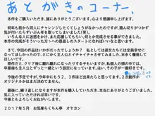 おたわむれパワ○ケ娘。, 日本語