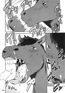 MARE HOLIC 5, 日本語