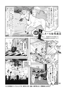 MARE HOLIC 5, 日本語