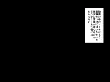 獣耳に人権はなくなりました, 日本語