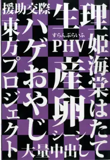 はたてのパパ活, 日本語