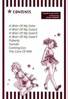 Oneechan no Onegai - A Wish of my Sister, Tiếng Việt