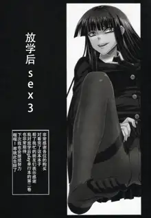 Houkago Sex 3, 中文