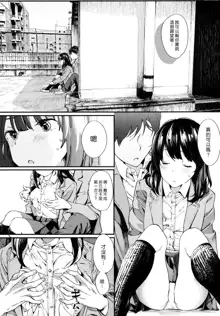 Hijitsuzai Shounen Shoujo, 中文