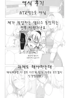 Alice ga Suki nano wa, 한국어