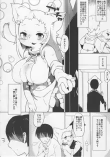 お姉ちゃんマルチブート, 日本語