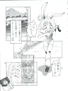 プラスY Vol.26  けもみみっくす 2, 日本語