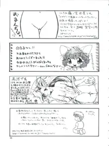 プラスY Vol.26  けもみみっくす 2, 日本語