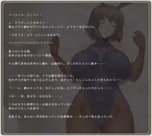 憧れのお姉さんはバニーガール 01/First Bunny Girl, 日本語