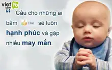 Ousama no Iu Toori!, Tiếng Việt