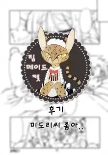 Nekokano | 네코카노, 한국어