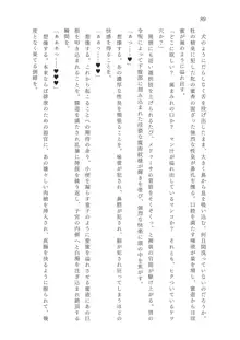 FGO令呪NTR合同誌 淫刻隷呪, 日本語