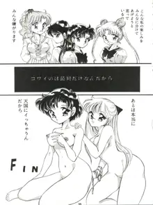 観月秘艶 VOL.5, 日本語