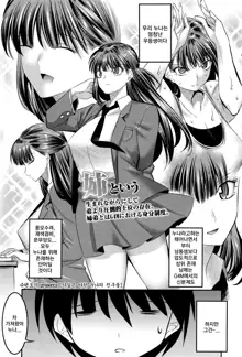 Hontou wa H na Onee-chan no Tomodachi | 사실은 야한 누나의 친구들, 한국어