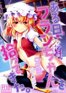 Aru Hi Flan-chan o Hirottekita., 中文