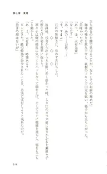 魔法戦士スイートナイツ, 日本語