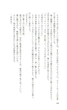 魔法戦士スイートナイツ, 日本語