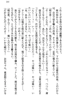 童貞を殺す大魔王! 例のセーターを着たサキュバス姫, 日本語