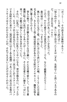 童貞を殺す大魔王! 例のセーターを着たサキュバス姫, 日本語