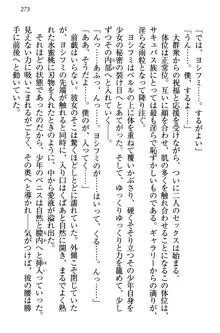 童貞を殺す大魔王! 例のセーターを着たサキュバス姫, 日本語