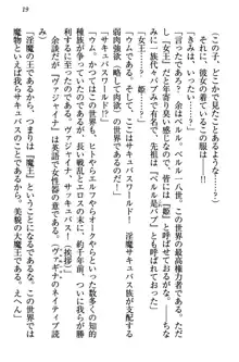 童貞を殺す大魔王! 例のセーターを着たサキュバス姫, 日本語