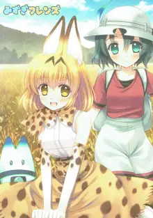 みずぎフレンズ, 日本語