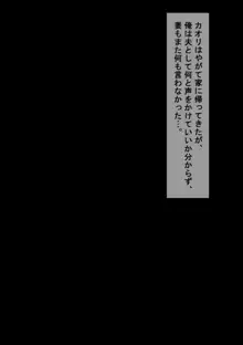 愛妻、同意の上、寝取られ, 日本語