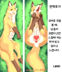 Daisuki.Kitsune.(Conne)ction, 한국어