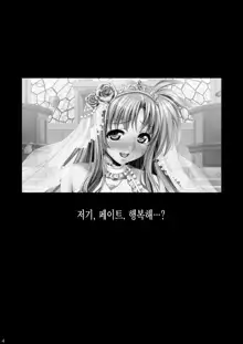 Ore Yome Nanoha | 내 신부 나노하, 한국어