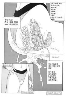 Hot Tails 4, 한국어