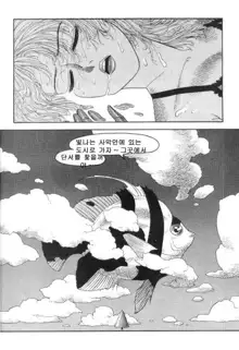 Hot Tails 6, 한국어